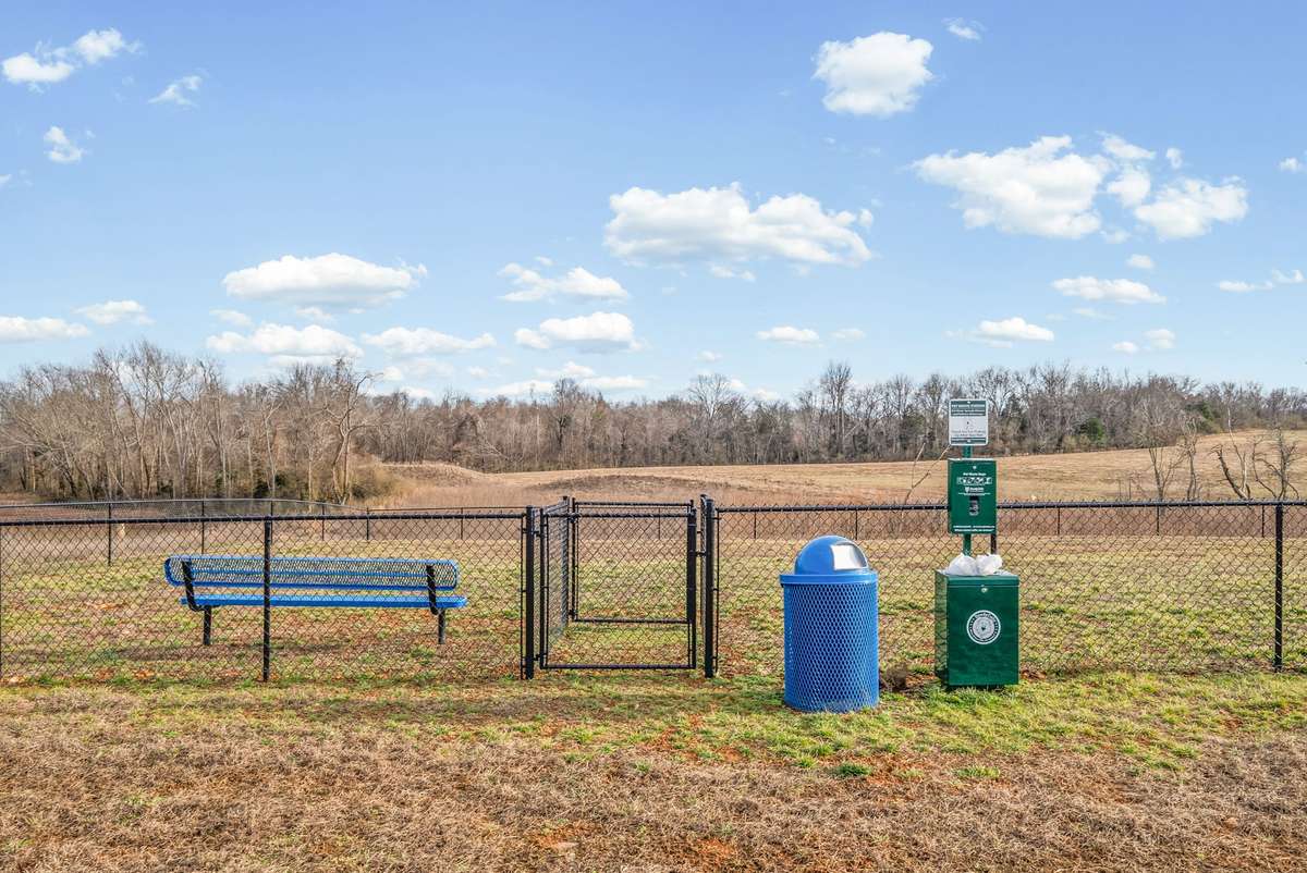 Dog Park