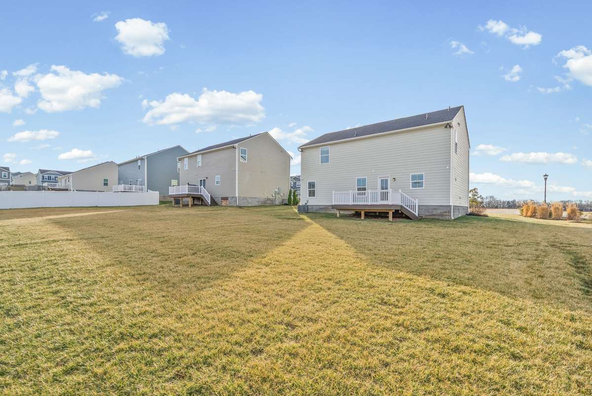 Large Backyard