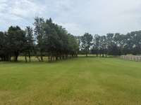 *Updated Backyard Photos Taken 6.5.2025