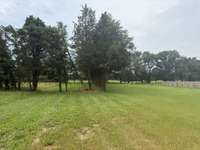 *Updated Backyard Photos Taken 6.5.2025