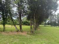 *Updated Backyard Photos Taken 6.5.2025