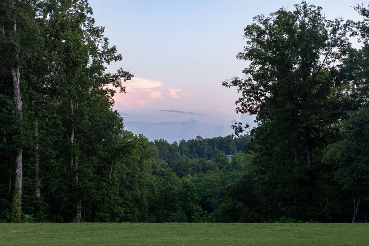 View off green space of Sun Setting.