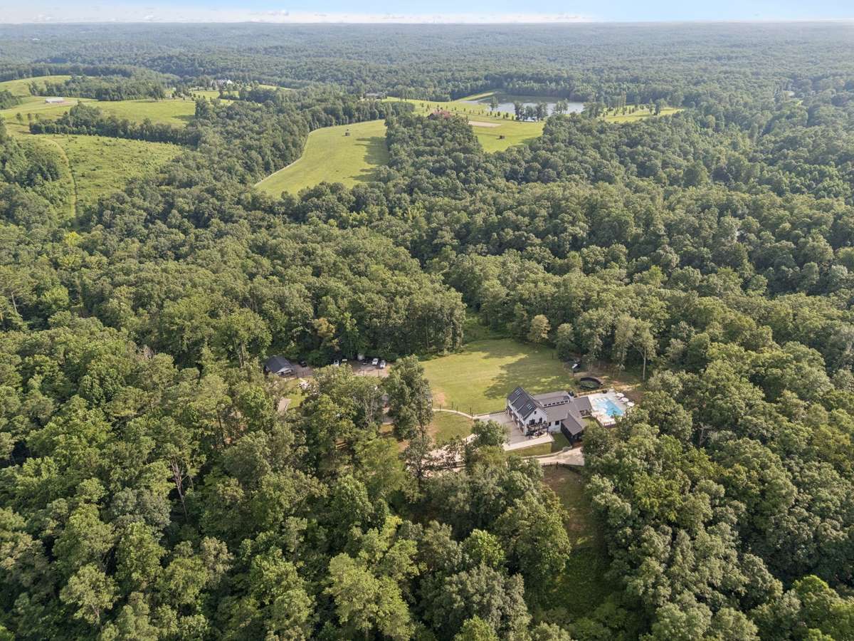 Aerial View of the Site