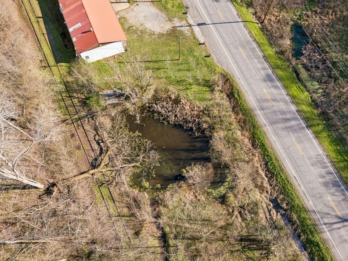 Spring fed pond next to the workshop.