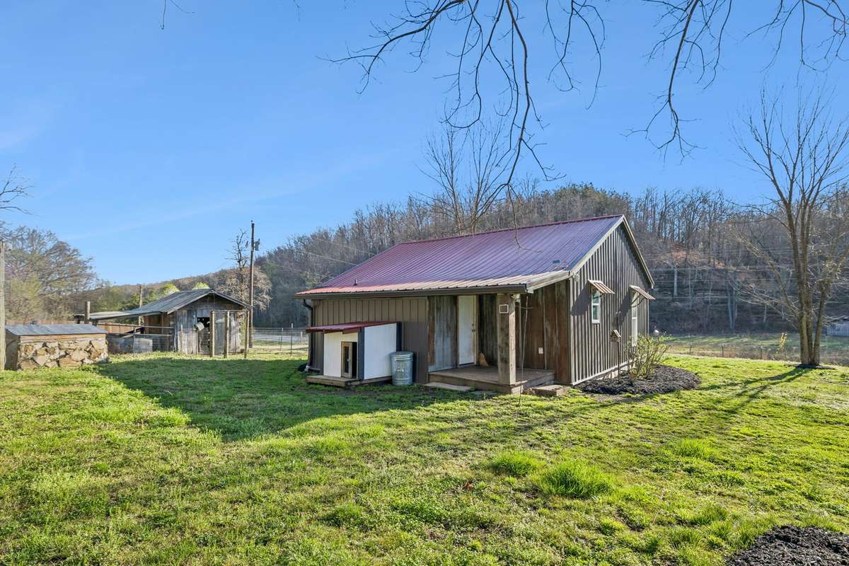 Backyard overlooking the back porch with well house and animal outbuildings on the left.