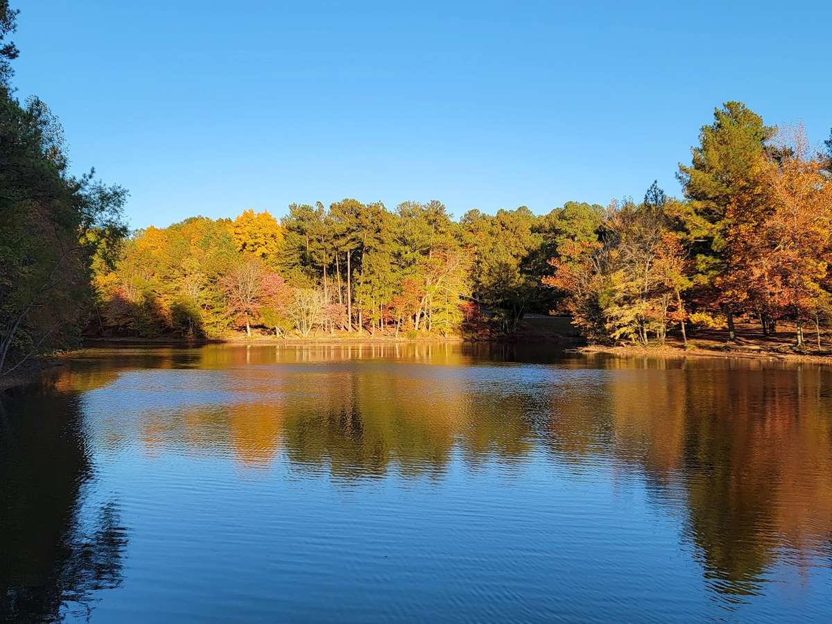 Discover the crown jewel of Fairview. Bowie Nature Park spans over 700 acres of protected forest, offering one of the largest and most beautiful nature preserves in Middle Tennessee right in your own backyard.