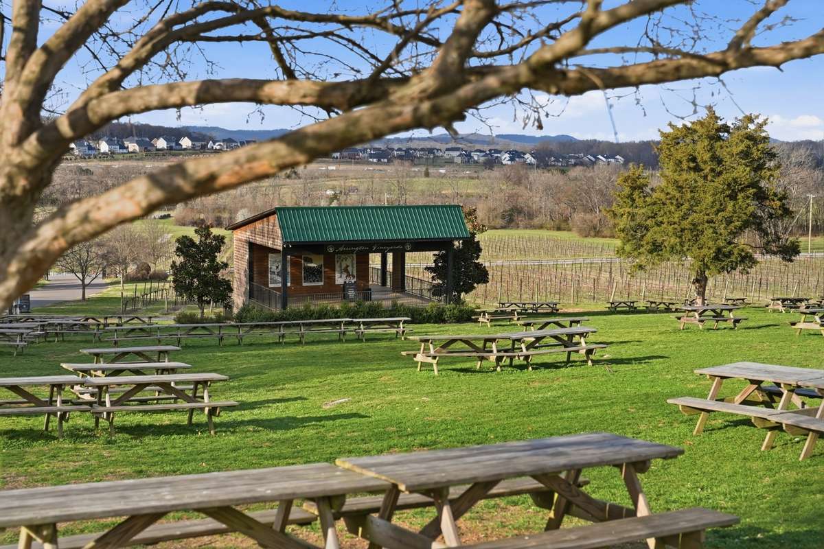 Arrington Vineyards