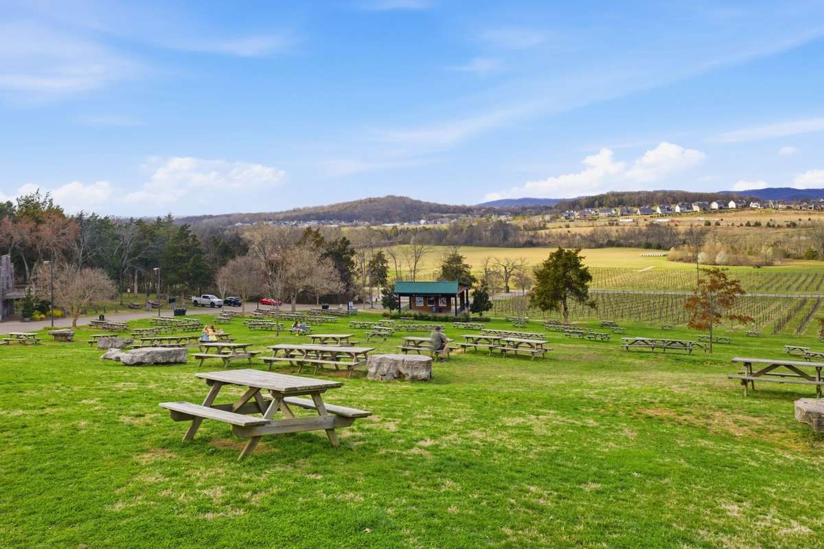 Arrington Vineyards