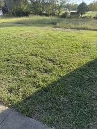 Level yard all around