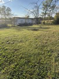 Large, open yard