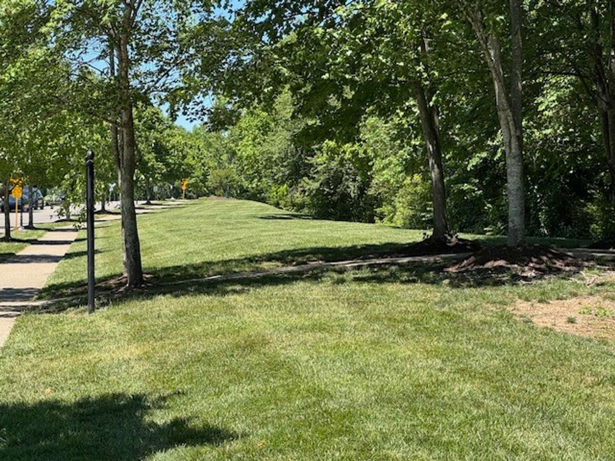 Lots of green space for walks.
