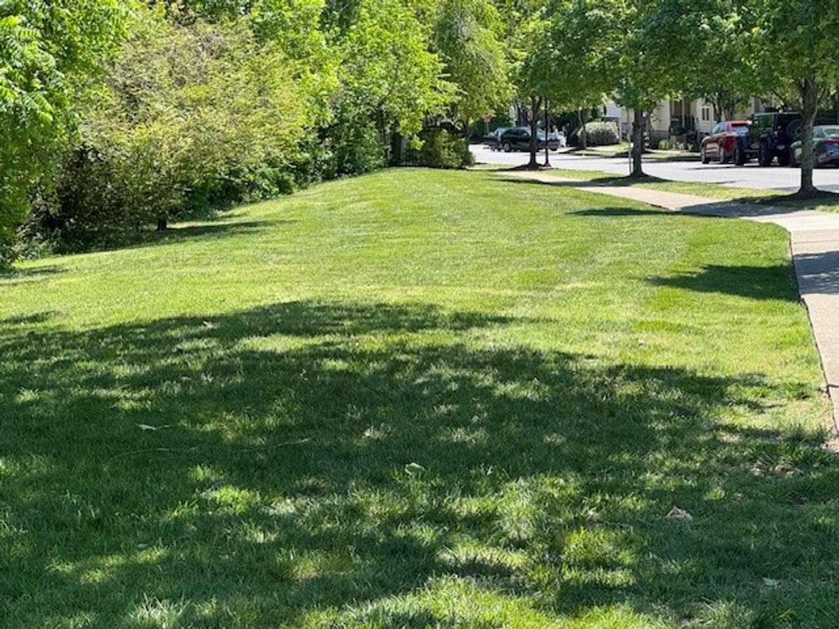 Lots of green space to bring your pets.