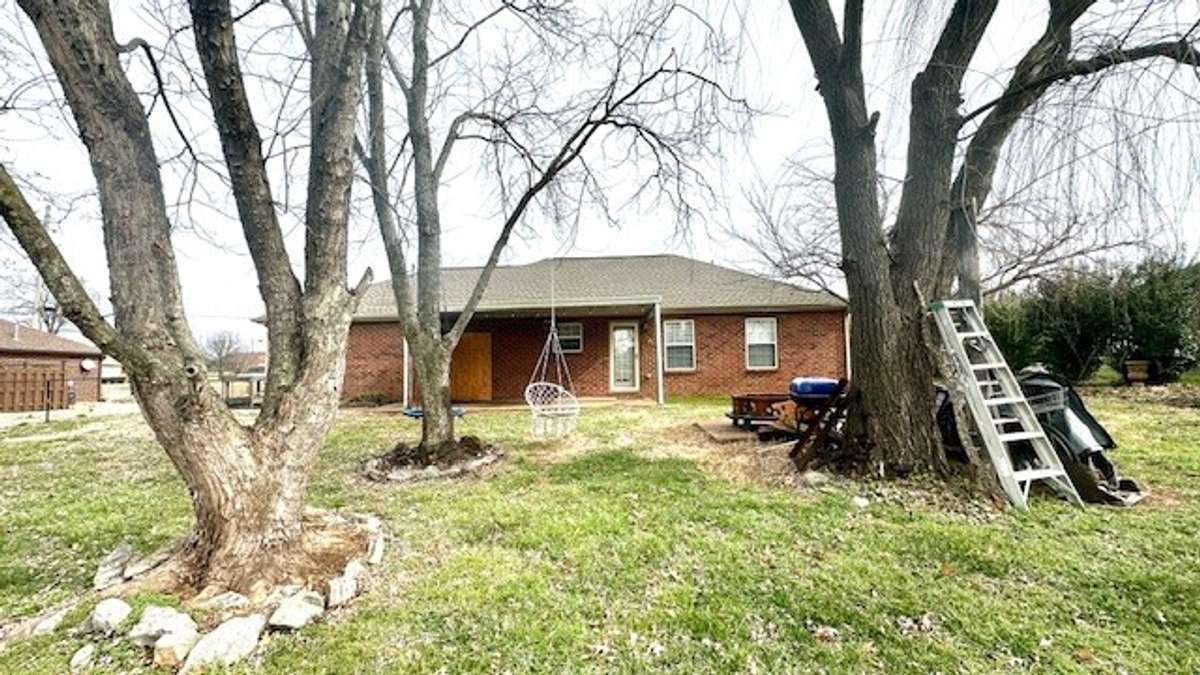 large back yard