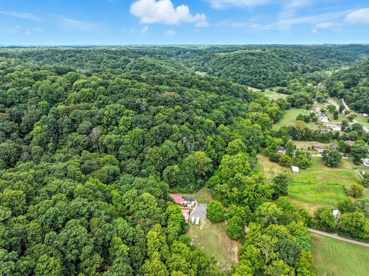 Look how undisturbed this acreage is!