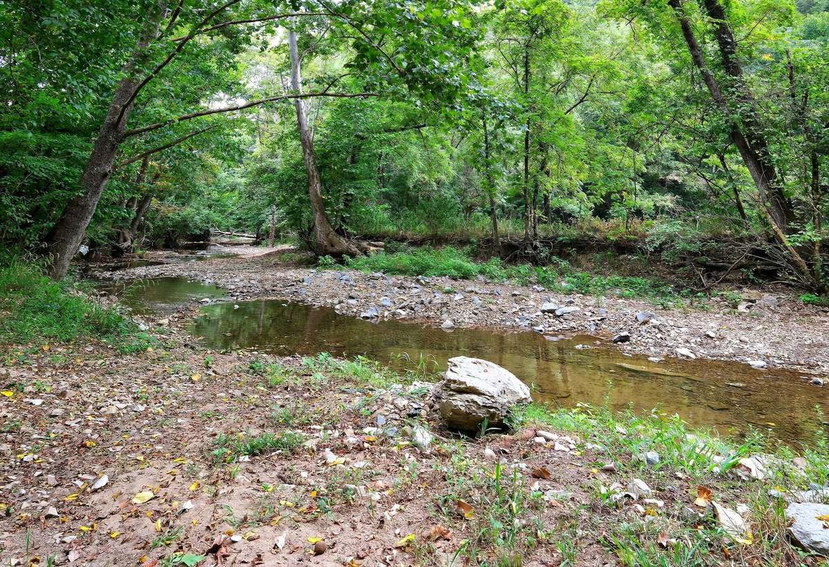 Look how peaceful the creek looks!  Perfect for wading or fishing!