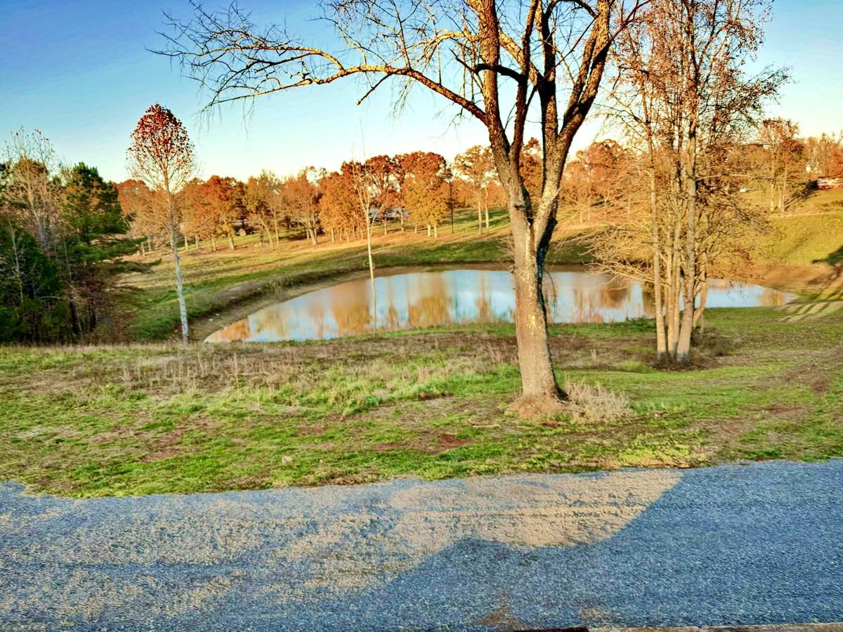 Your Spring Feed Catfish Pond.