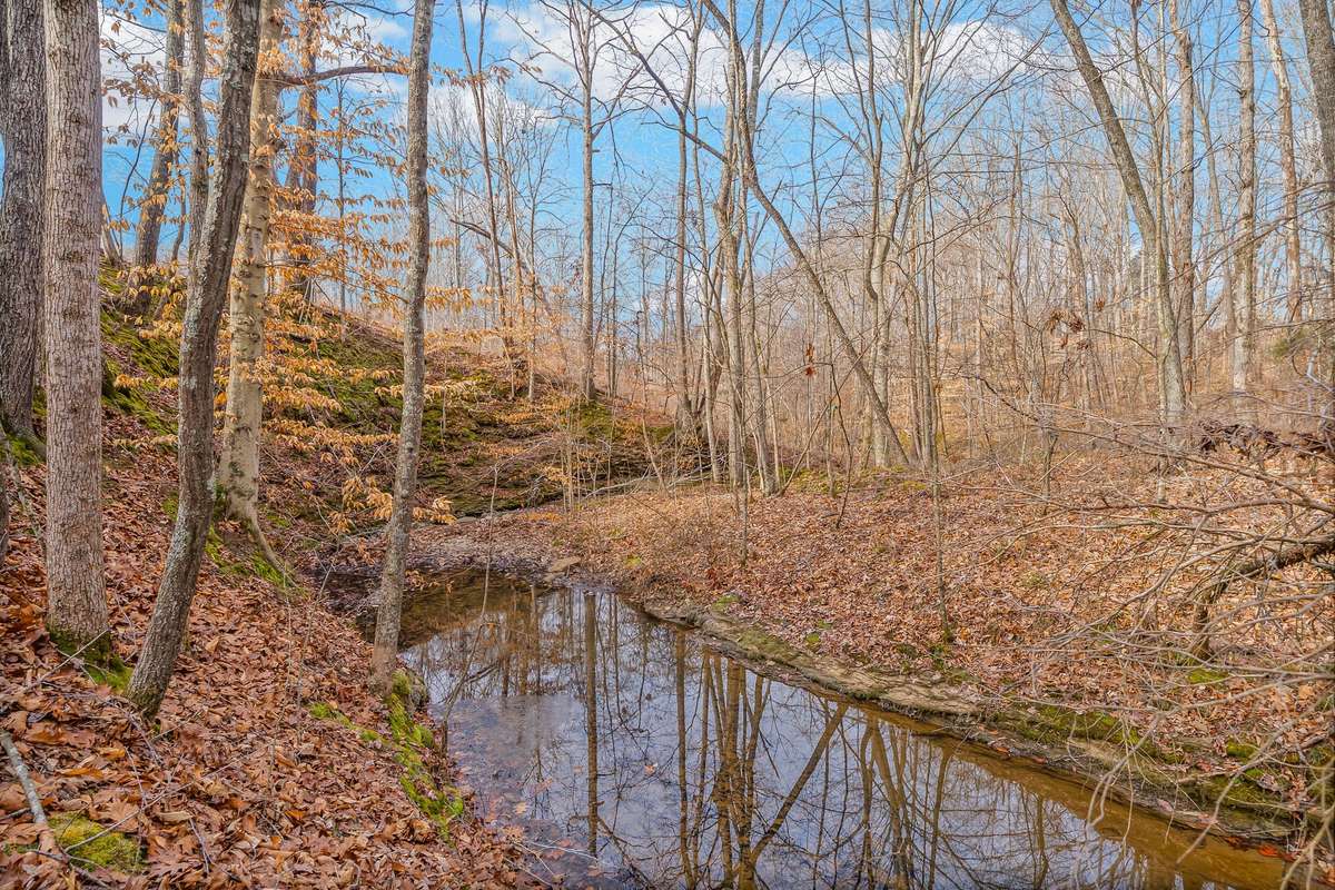 Small creek at the back of the property