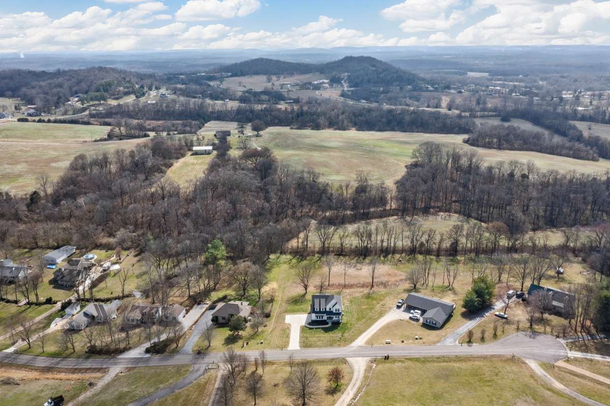 Large scale aerial view of the home.