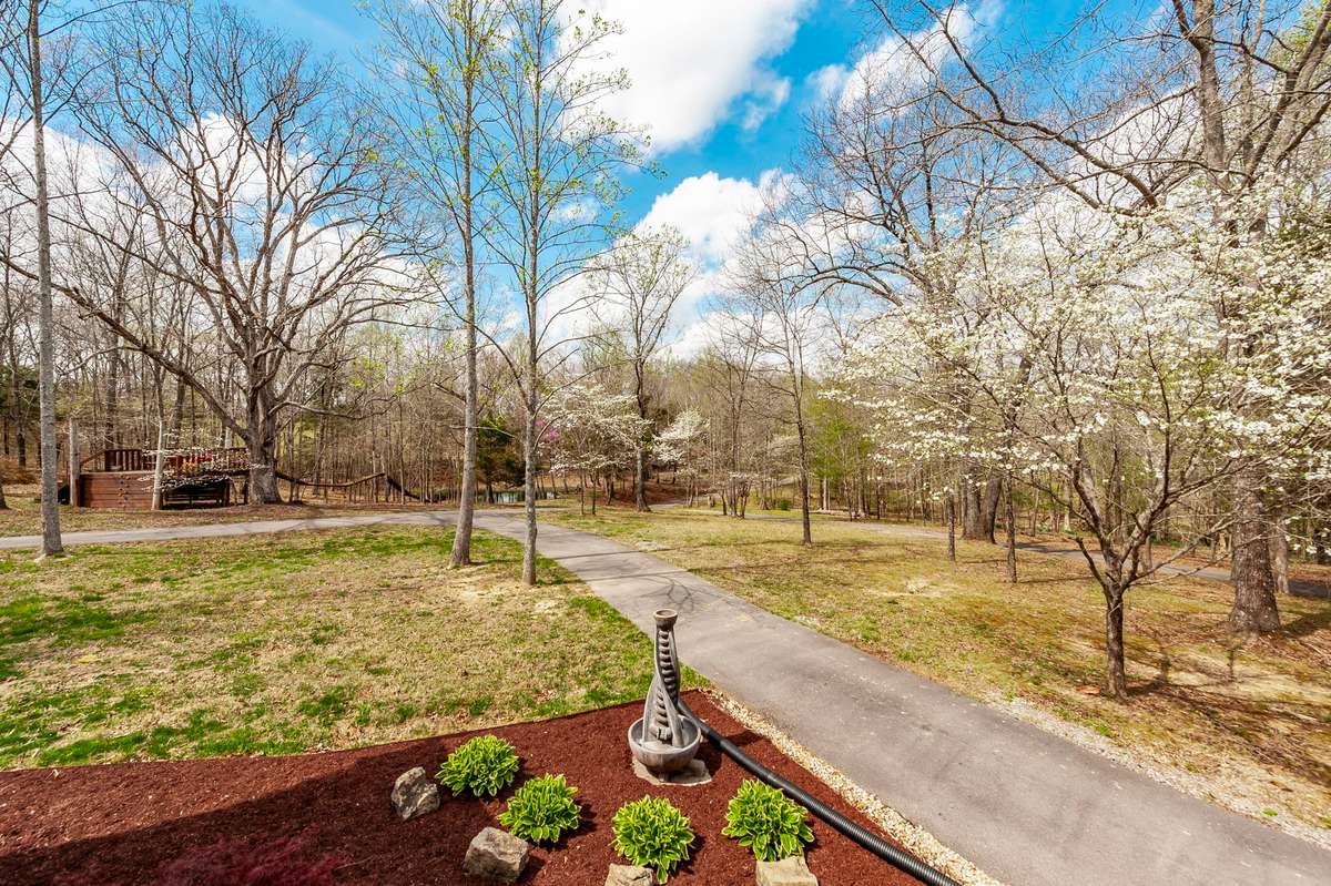 The flowering trees show out every spring and show their colors every autumn!