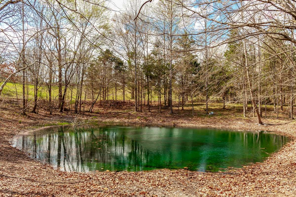 Beautiful little pond stocked with fish