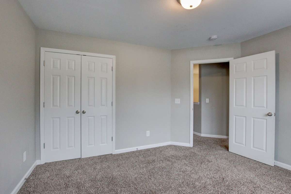 Alternate View