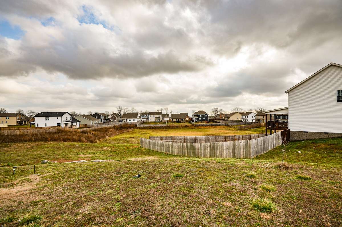 A view from the side lot, standing within the boundary of the property.