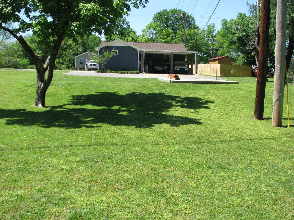 Beautiful back yard