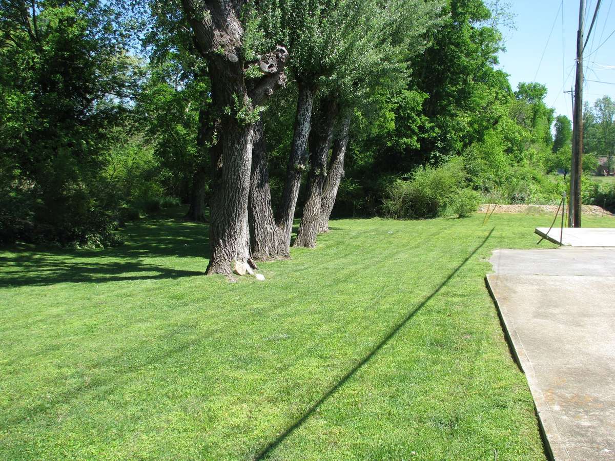 Nice shade trees!