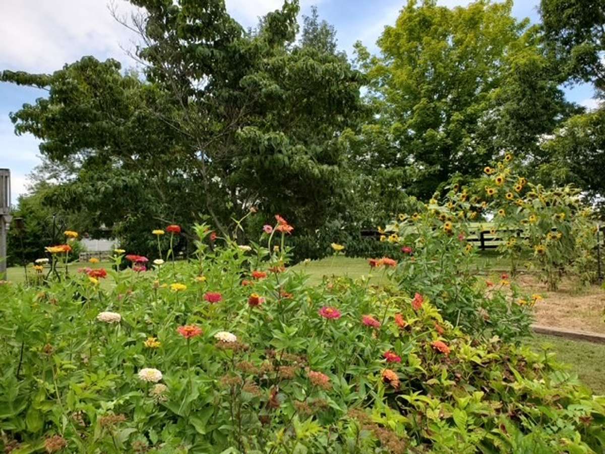 ...to the lushness and kaleidoscope colors, fragrant air, and sounds of summer...