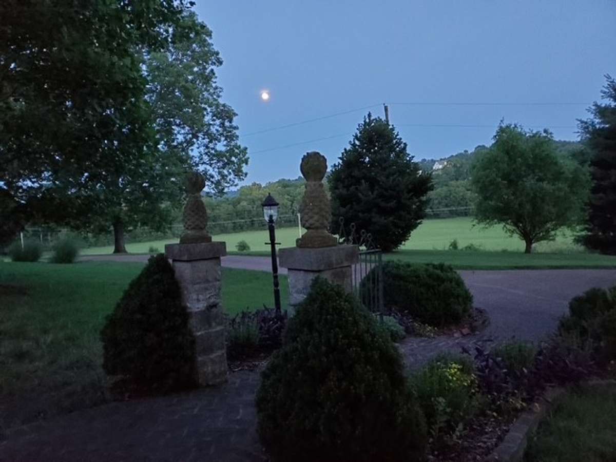 Moonlit glow...