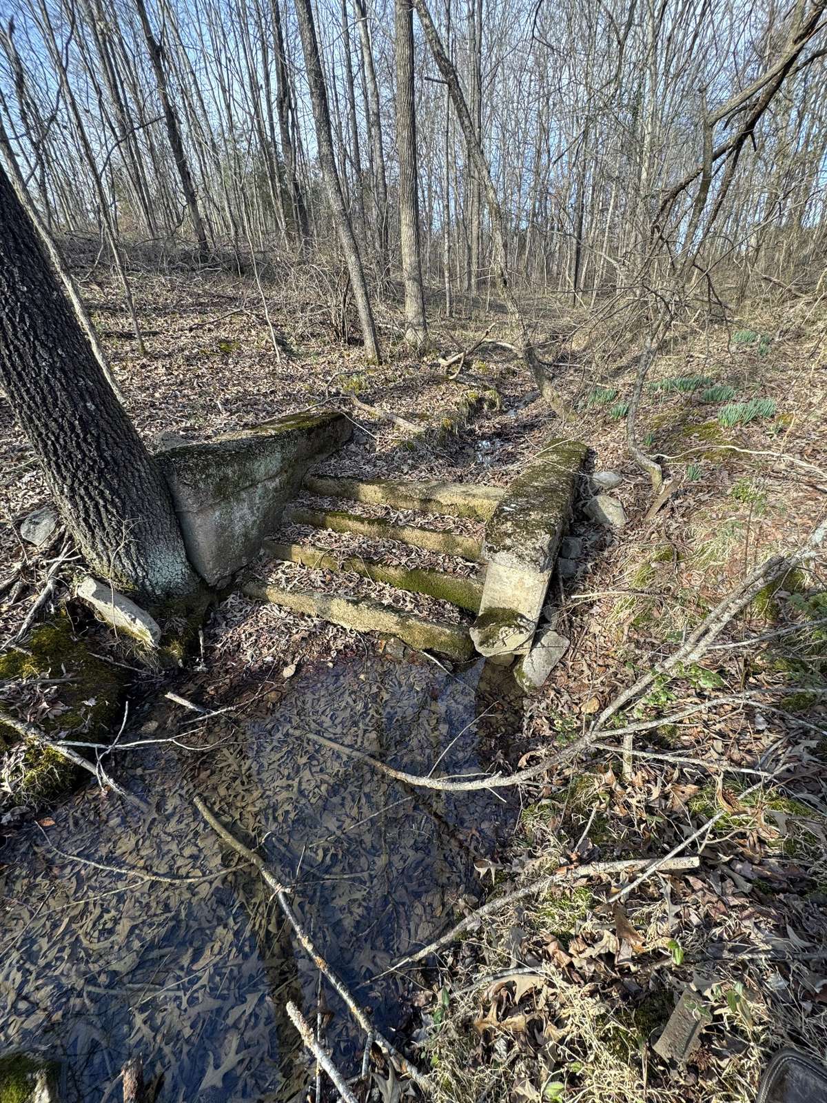 A small creek runs through the middle of the property.