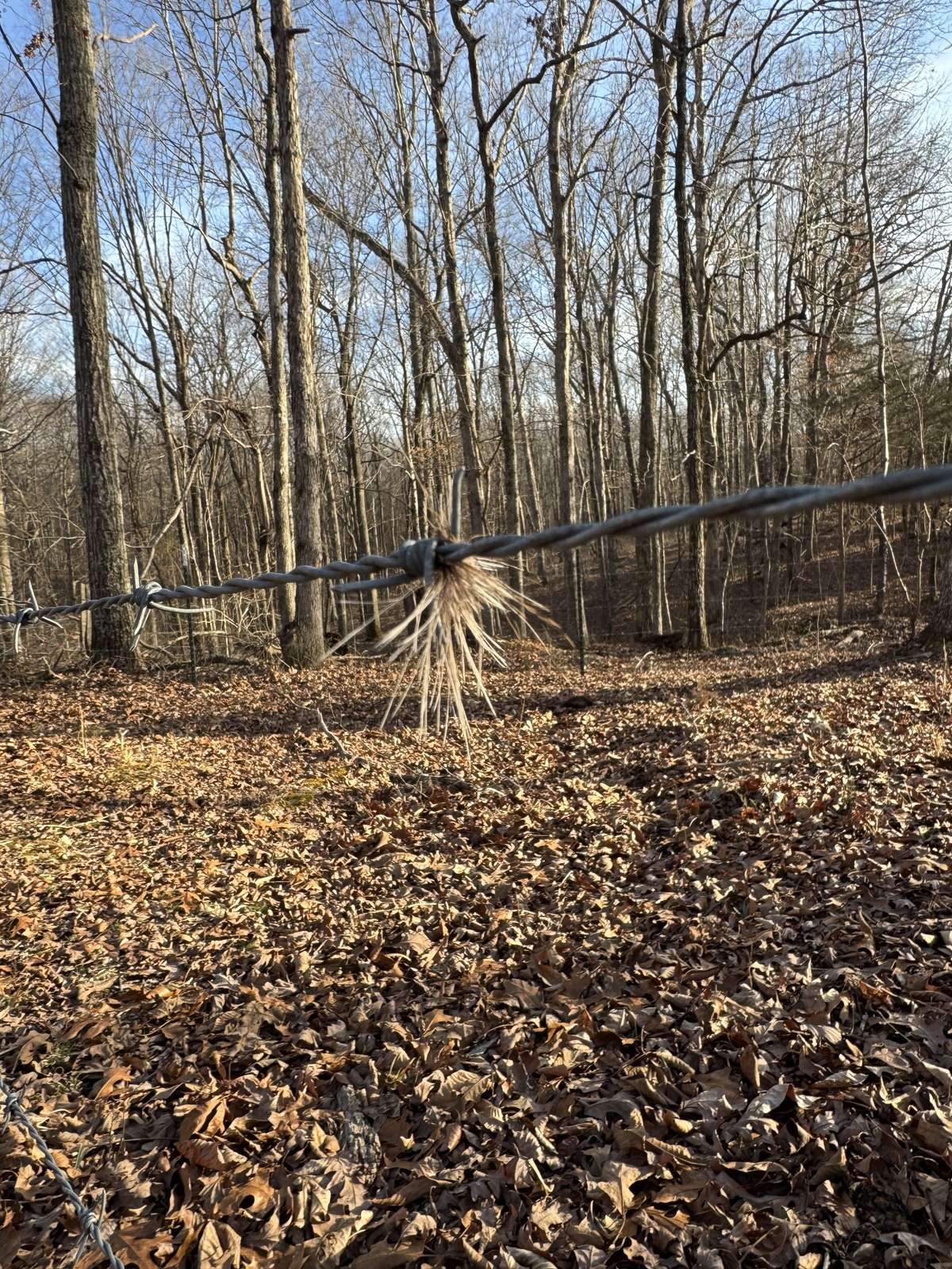 New Fencing is featured on much of the property line.
