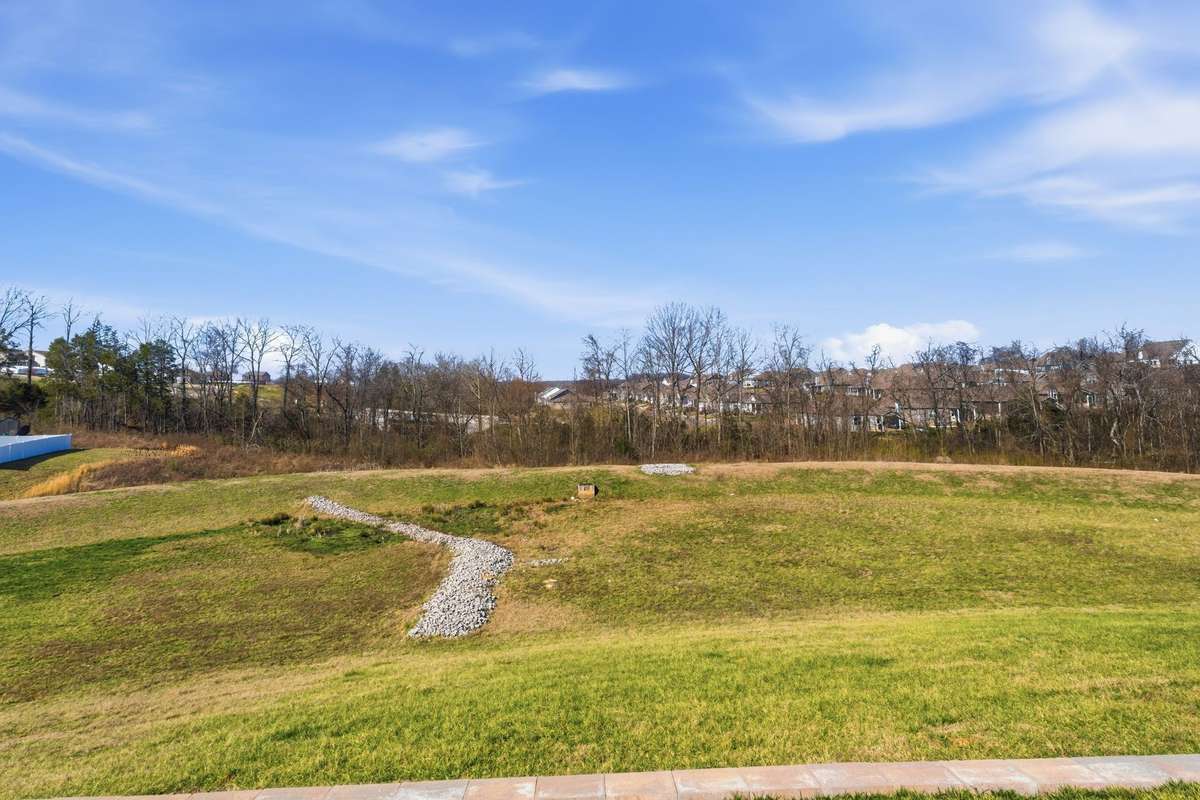 Green space behind the home
