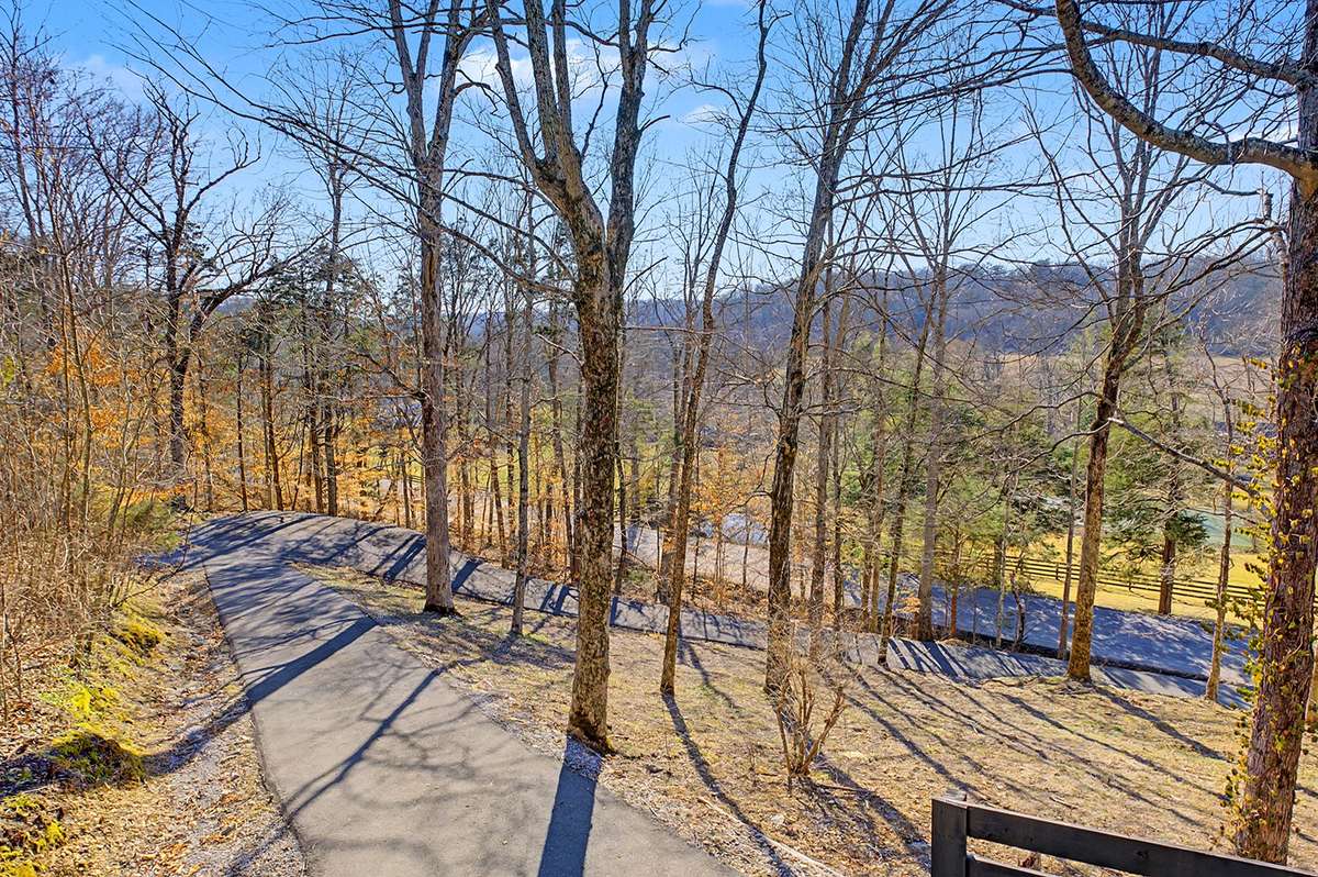 Mature trees and foliage add tons of privacy and shield the home