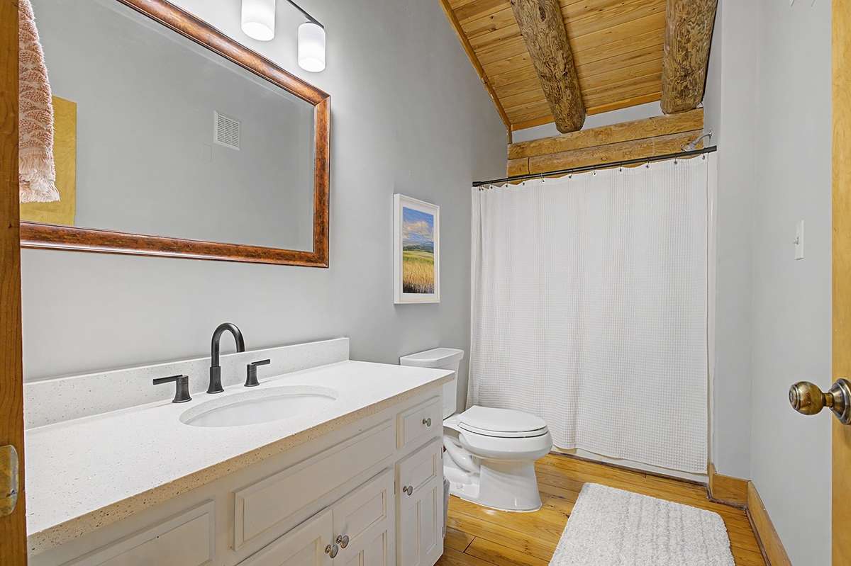 Updated full hall bath w/shower-tub combo