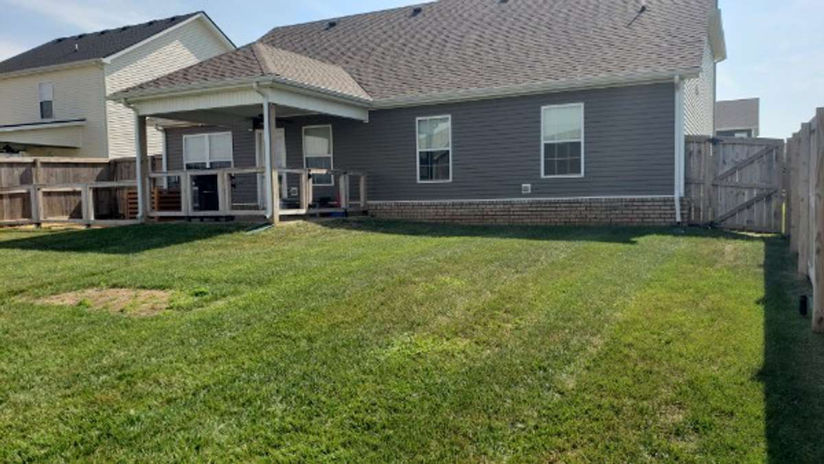Lovely, level back yard