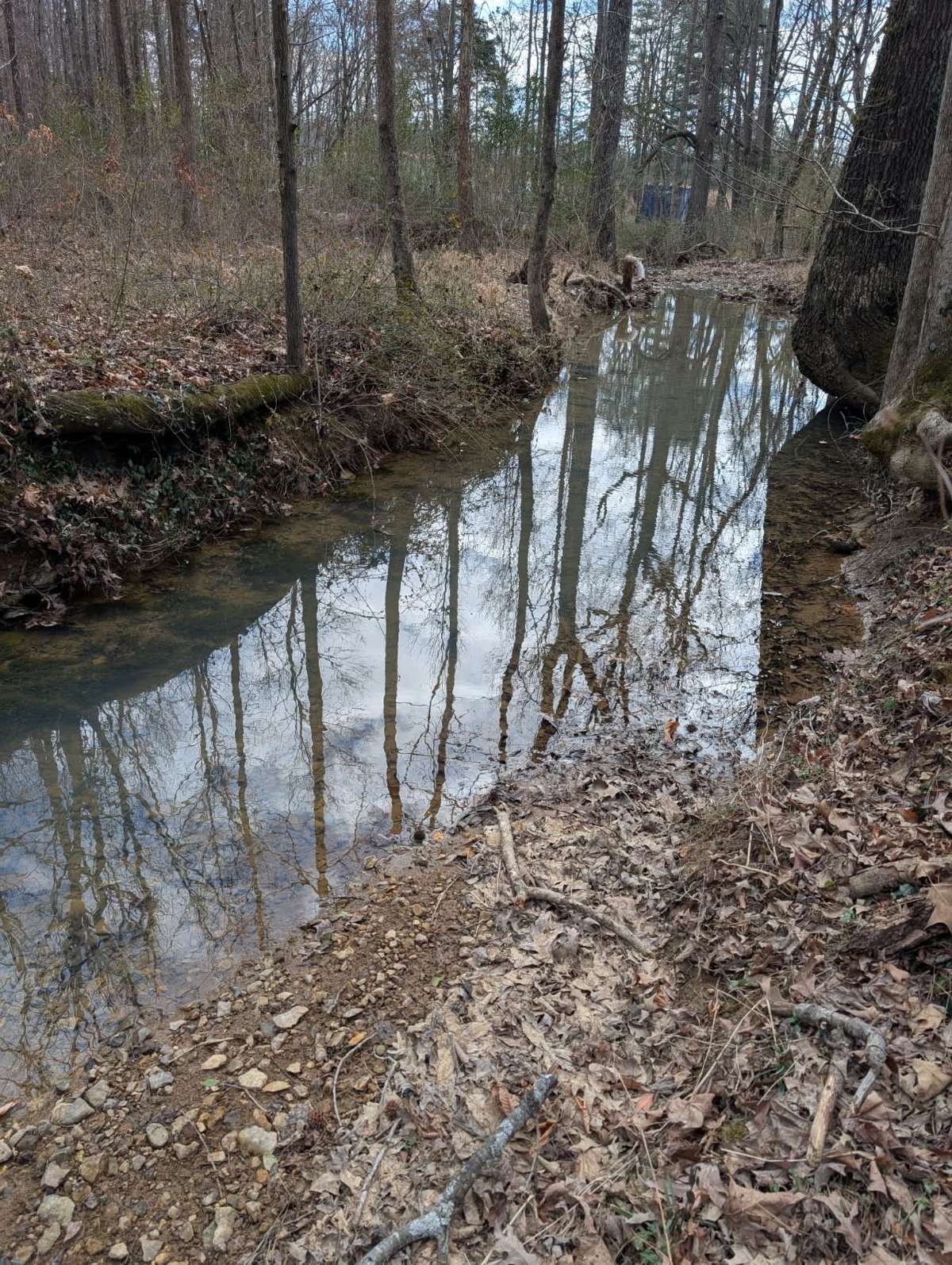Wet weather creek.Lots of area to make a great picnic area.