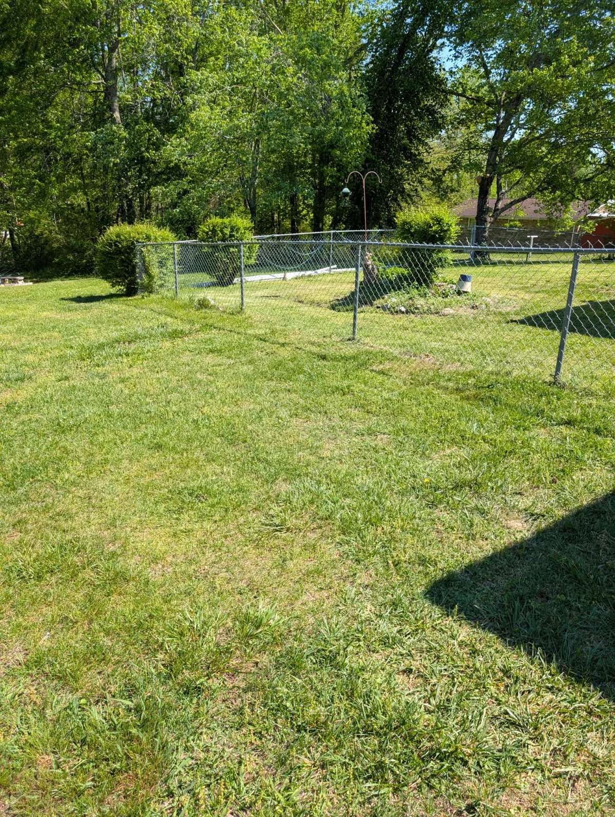 Back lawn.