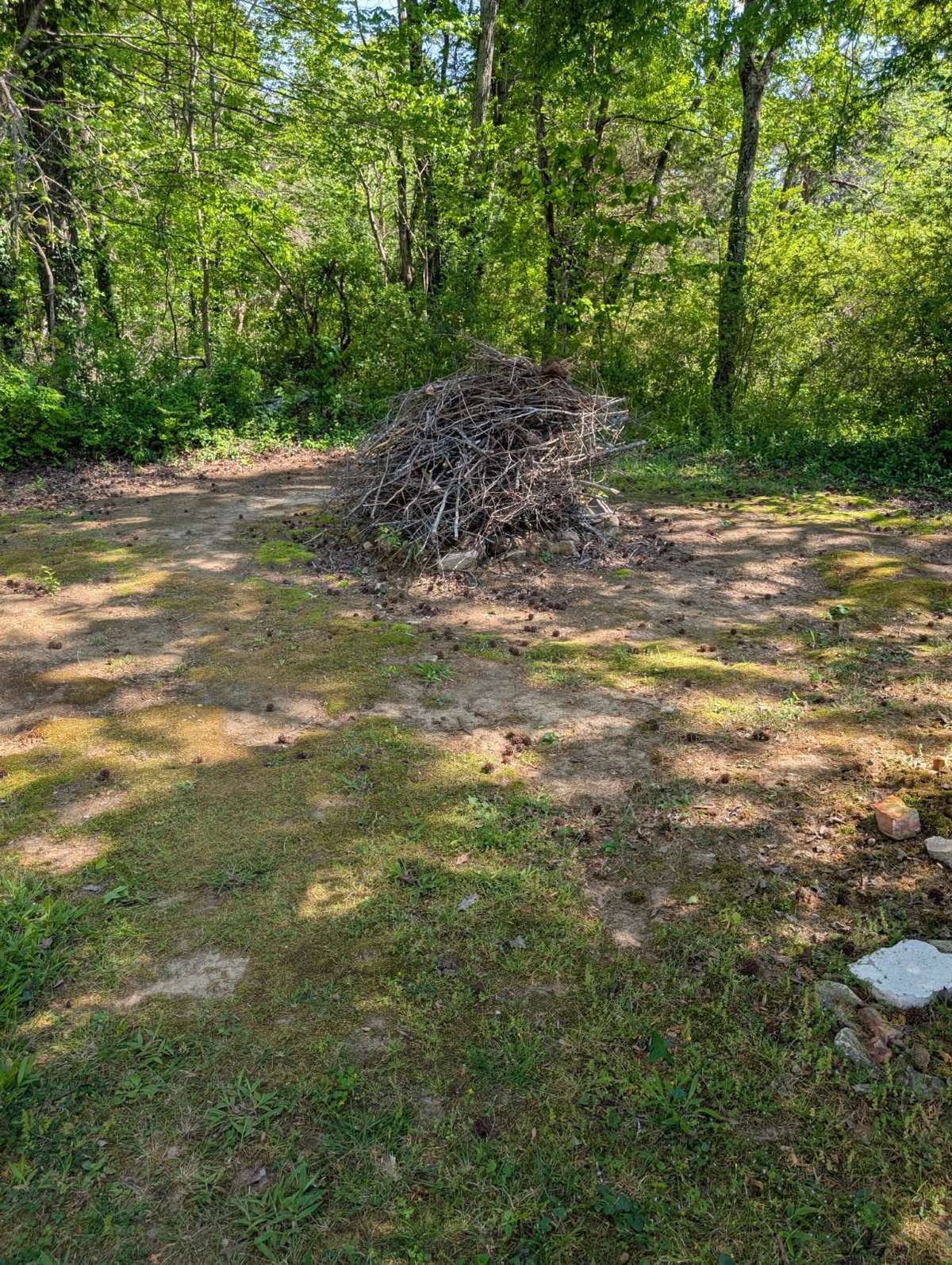Fire pit.
