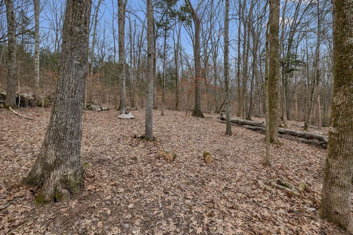 316 feet of road frontage with a mix of trees and gently sloping land. 3726 Benders Ferry Rd, Mt Juliet, TN 37122
