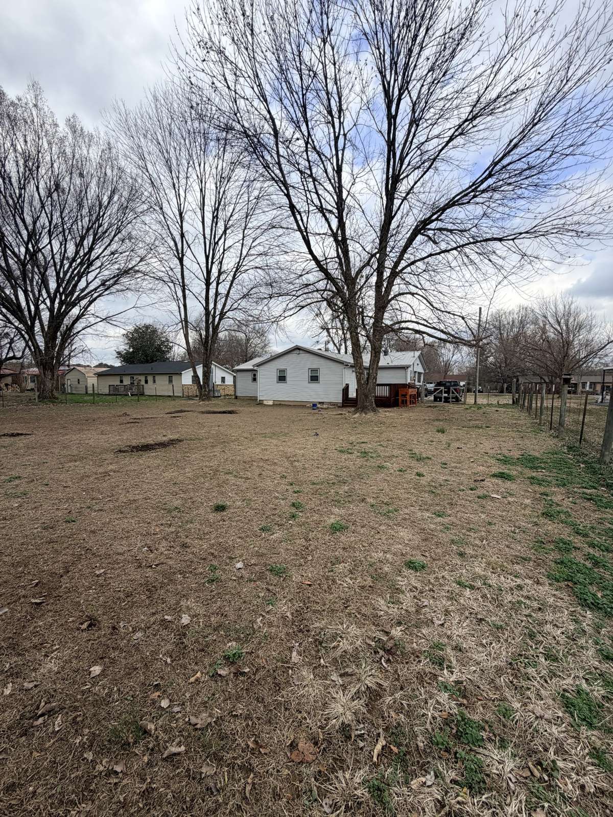 Back yard