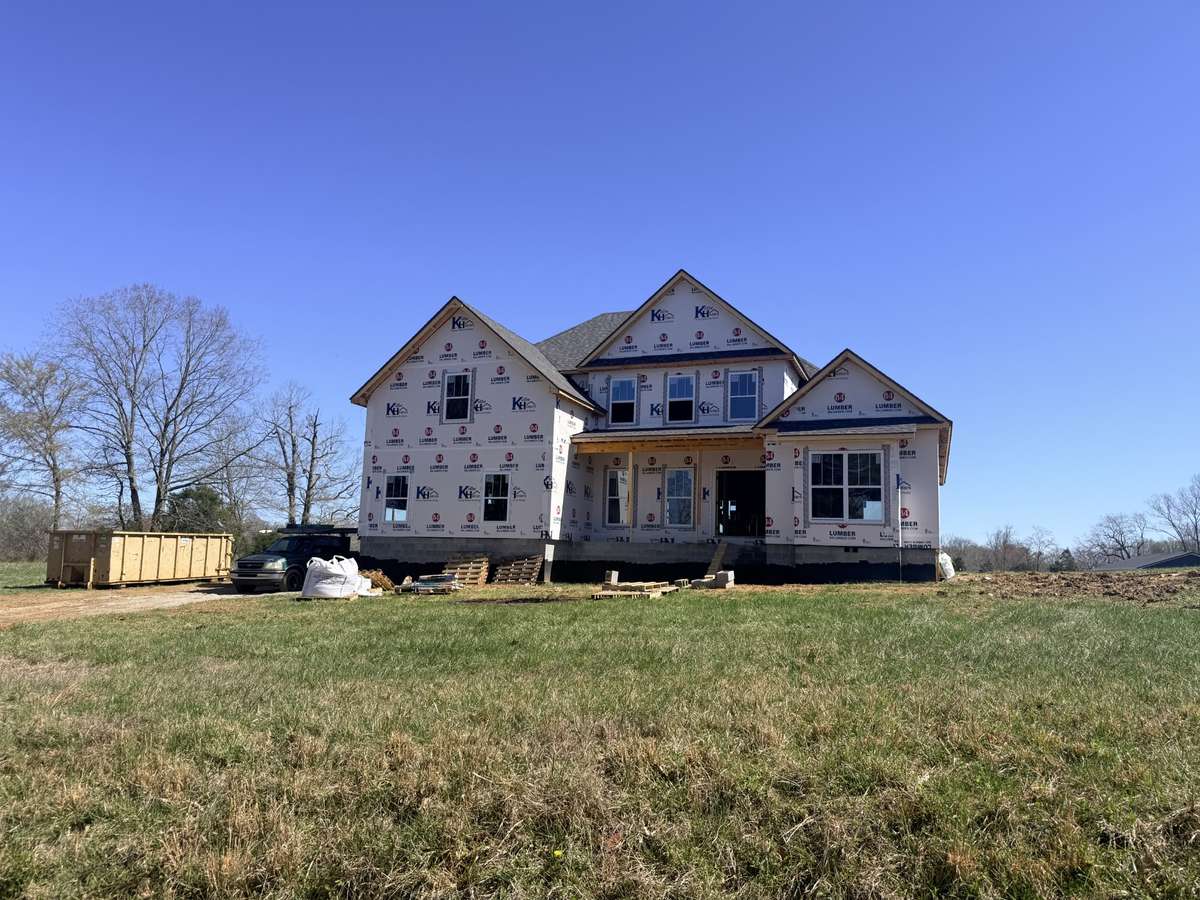 3/12/2026 Progress Photo