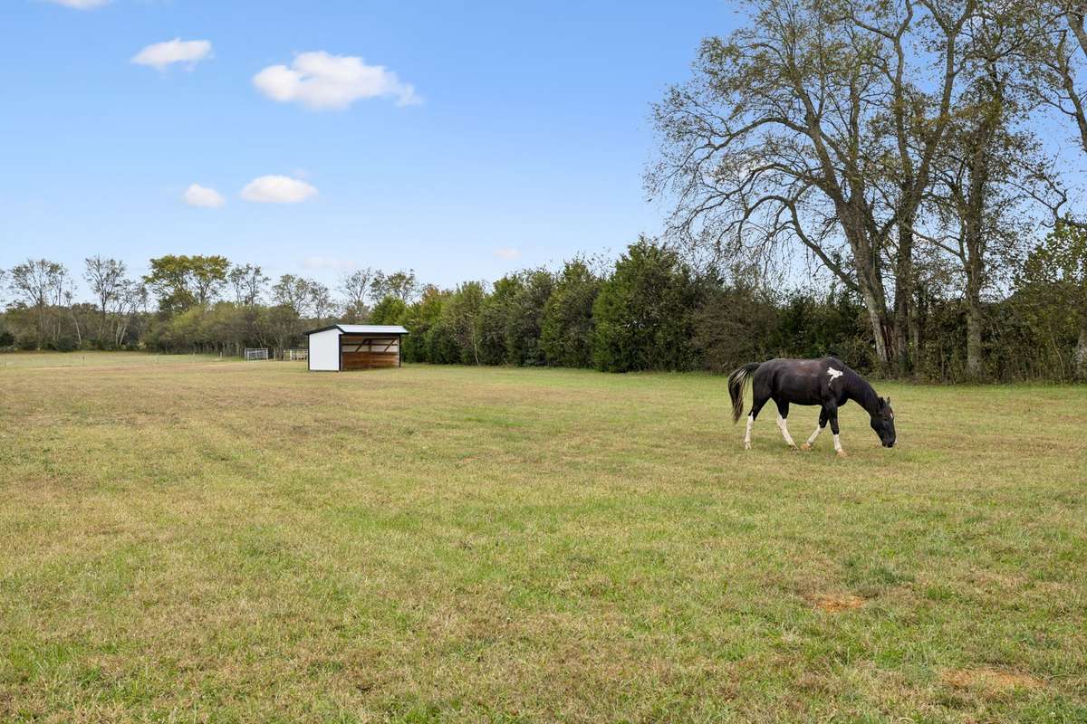 Open, usable pastureland ideal for equestrian use or recreational enjoyment.