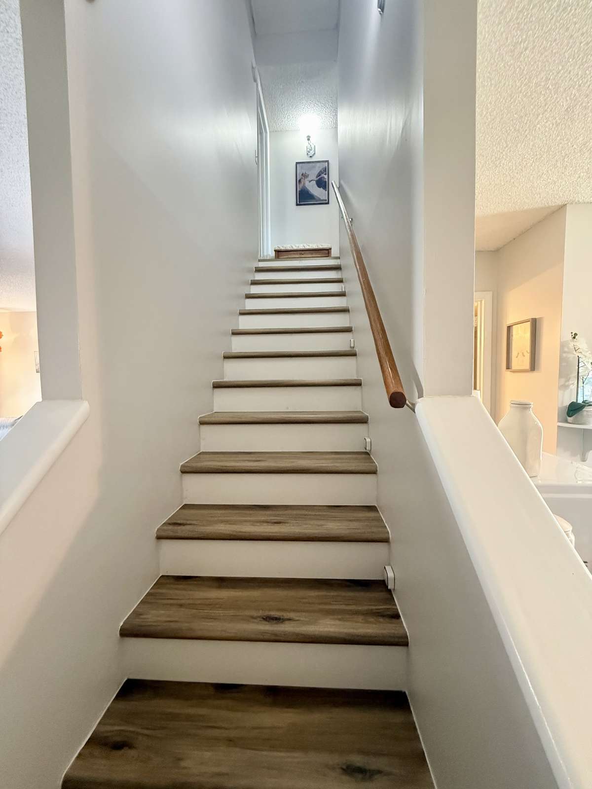 Stairs were recently completed with new treads