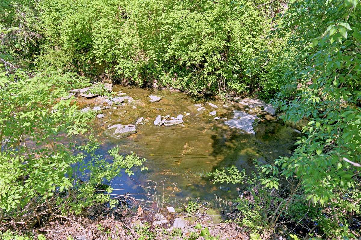 Peaceful babbling brook sits at the bottom of the hill