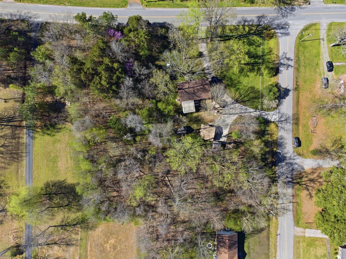 All the growth between houses is in the lot