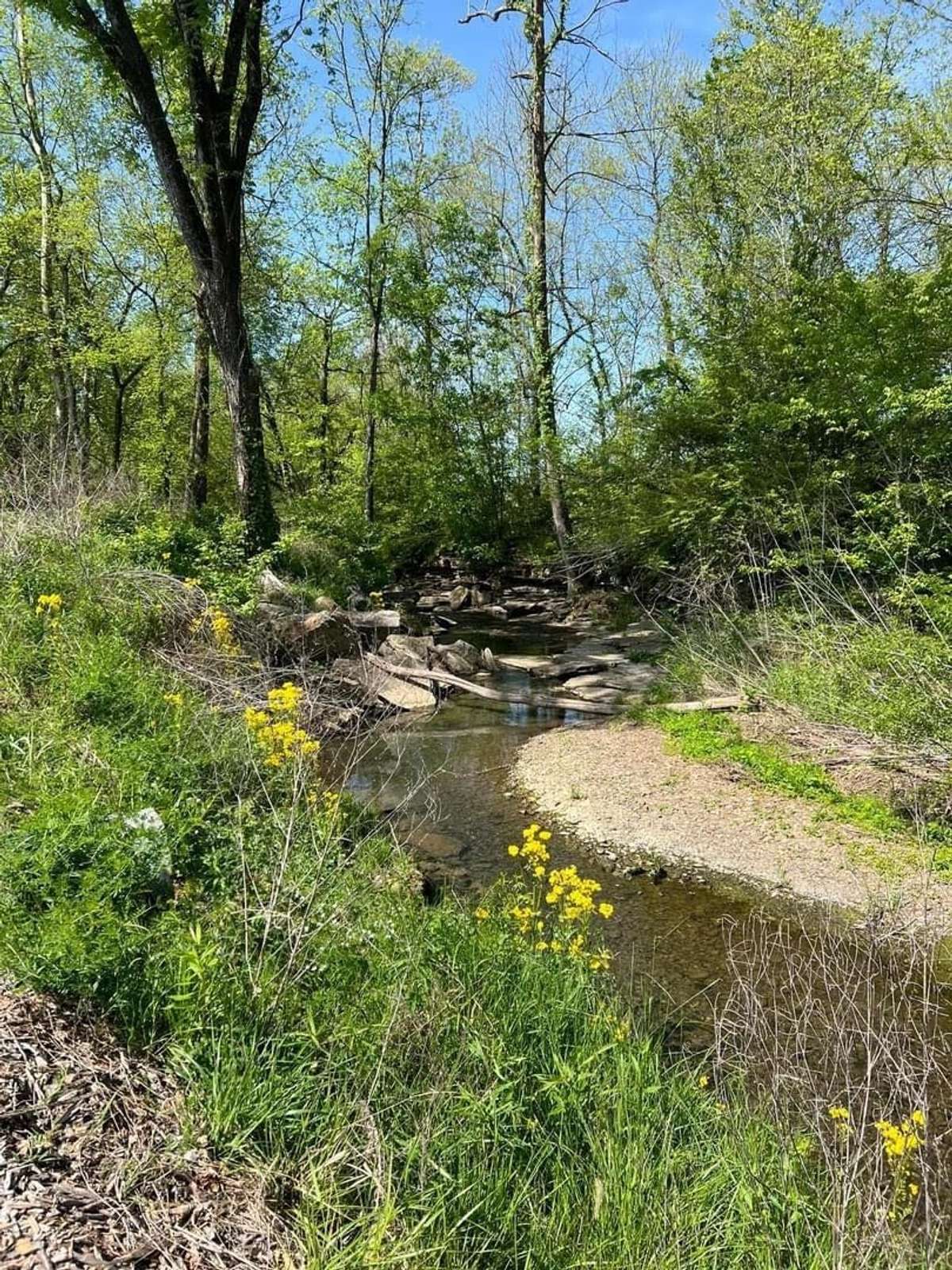 Enjoy nature and the beautiful outdoors without leaving your neighborhood on the Harvest Point walking trail.