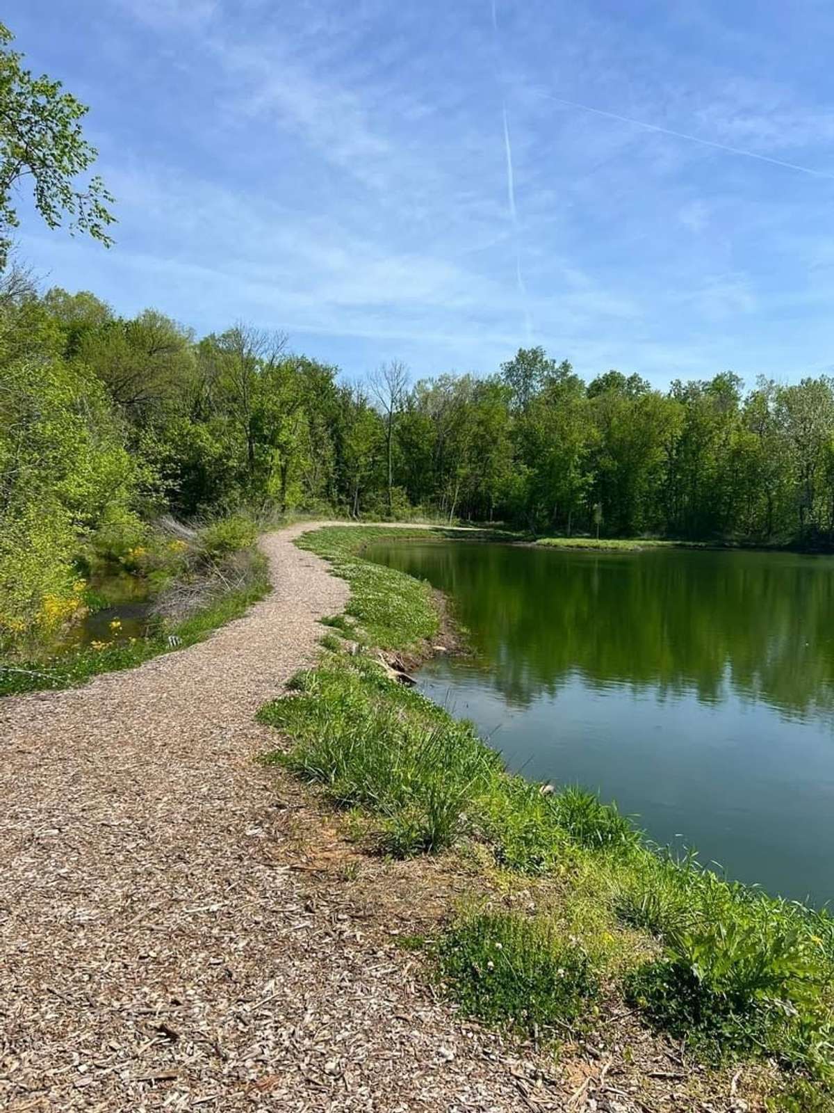 Harvest Point also has a catch & release pond along with walking trails, paved paths, and sidewalks around the neighborhood.