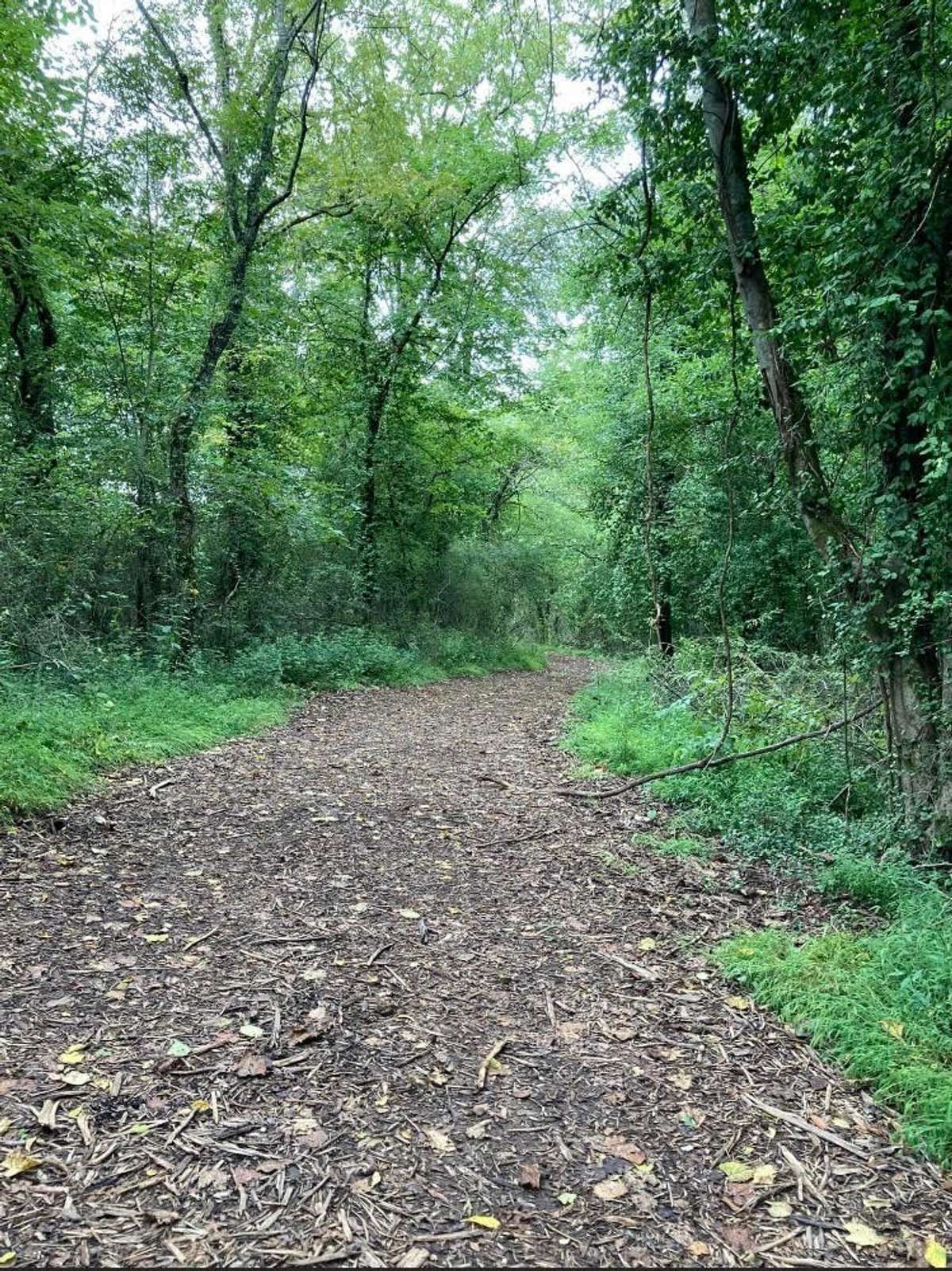 The Harvest Point Walking Trail extends @ 2 miles for those looking for a beautiful setting as they exercise.
