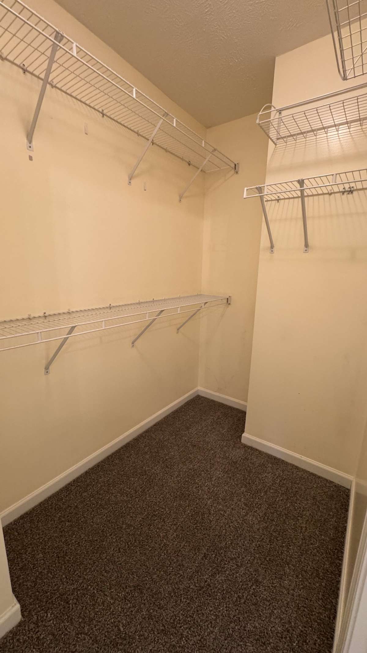 Primary Walk In Closet